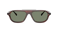 Oliver Peoples Man Morado Tortoise