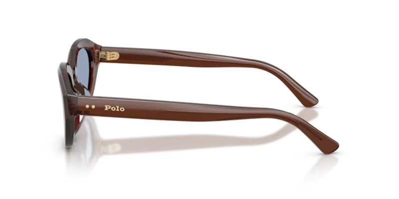 Polo Ralph Lauren Woman Shiny Transparent Brown