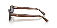 Polo Ralph Lauren Woman Shiny Transparent Brown