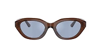 Polo Ralph Lauren Woman Shiny Transparent Brown