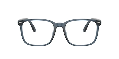 Polo Ralph Lauren Man Shiny