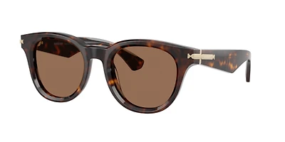 Burberry Man Dark Havana