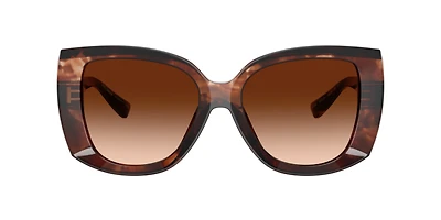 Dolce&Gabbana Woman Dark Red Havana