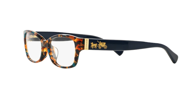 Coach Woman Teal Confetti Tortoise