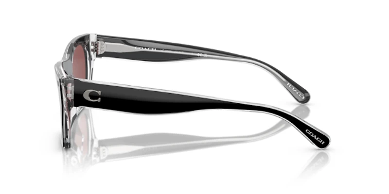 Coach Woman Black, Clear
