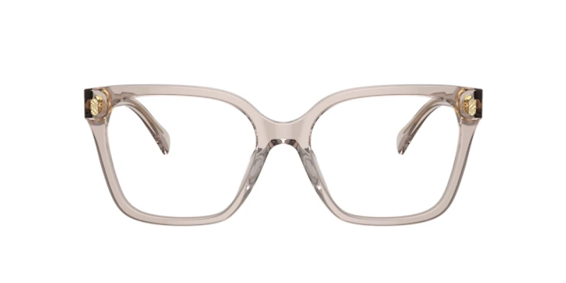 Ralph by Lauren Woman Shiny