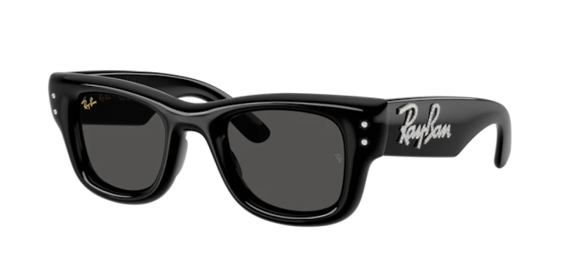 Ray-Ban Unisex Black & Strass