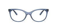 Dolce&Gabbana Woman Transparent Blue