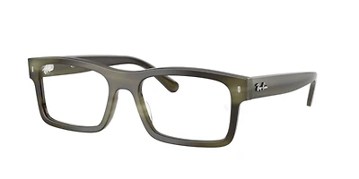Ray-Ban Unisex Havana Green