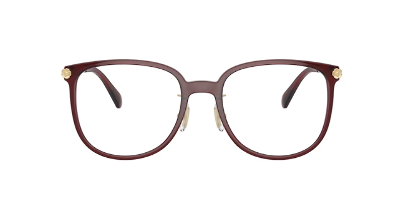 Coach Woman Transparent