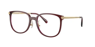 Coach Woman Transparent