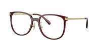 Coach Woman Transparent