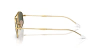 Ray-Ban Unisex Arista Gold