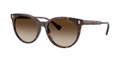 Ralph by Ralph Lauren Woman Shiny Dark Havana
