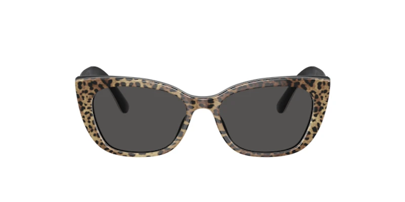 Dolce&Gabbana Woman Leo Brown, Black