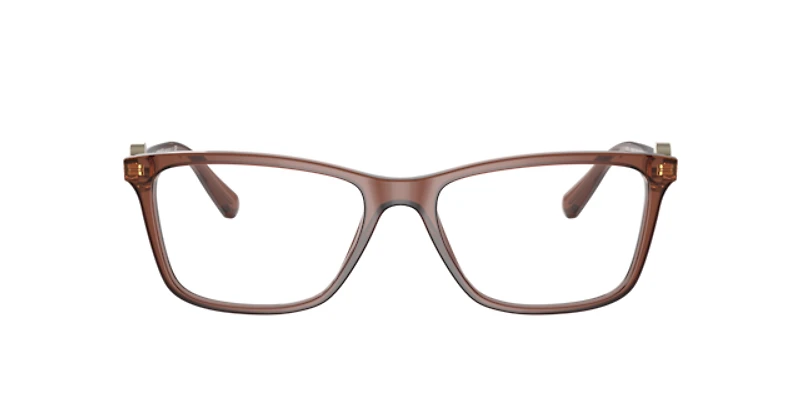 Versace Woman Transparent Brown
