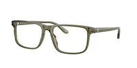 Ralph Lauren Man Transparent Olive Green