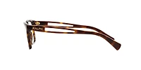 Ralph by Ralph Lauren Woman Shiny Dark Havana