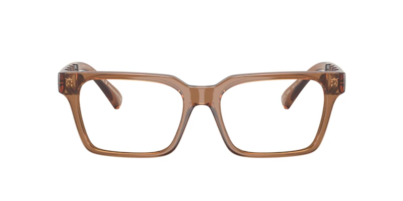 Armani Exchange Man Shiny Transparent Brown