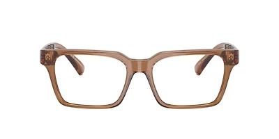 Armani Exchange Man Shiny Transparent Brown