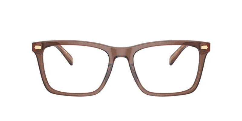 Coach Man Transparent Pecan