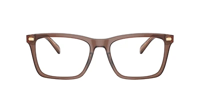 Coach Man Transparent Pecan