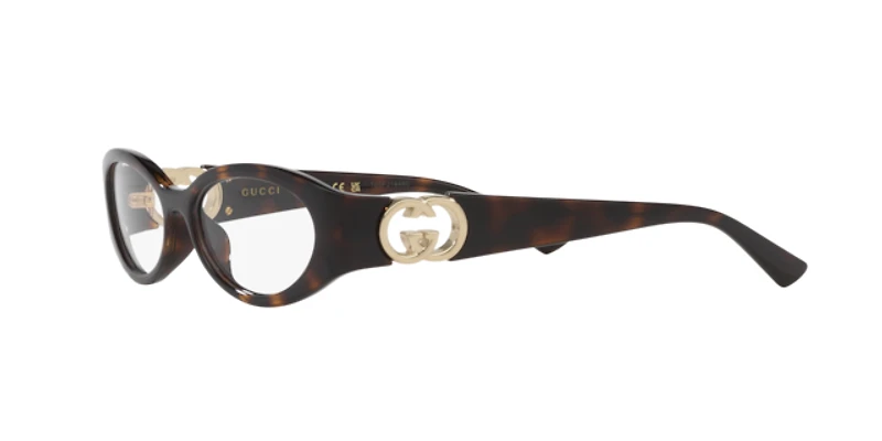 Gucci Woman Tortoise