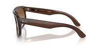 Ray-Ban Unisex Transparent