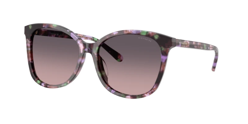 Coach Woman Tortoise