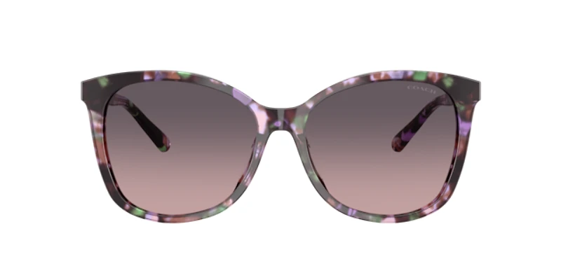 Coach Woman Tortoise