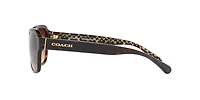 Coach Woman Dark Tortoise