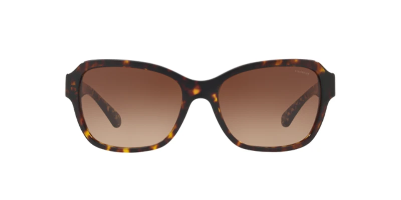 Coach Woman Dark Tortoise