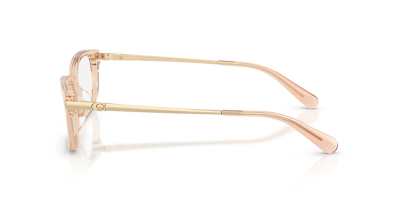 Coach Woman Transparent