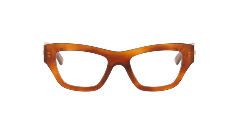 Bottega Veneta Woman Tortoise