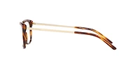 Ralph Lauren Woman Shiny Striped Havana