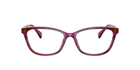 Ralph by Ralph Lauren Woman Striped Brown Purple
