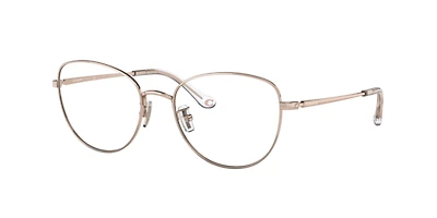Coach Woman Shiny Rose Gold