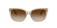 Ralph by Ralph Lauren Woman Shiny Transparent Brown