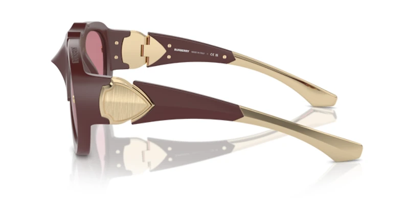 Burberry Unisex Rubber Burgundy