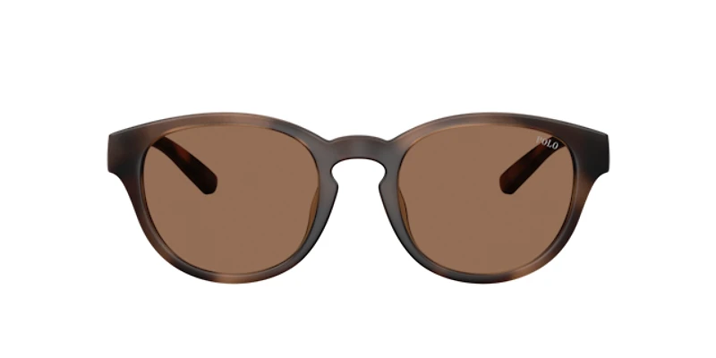 Polo Ralph Lauren Man Matte Dark Havana