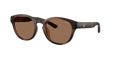 Polo Ralph Lauren Man Matte Dark Havana