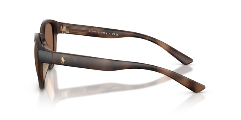Polo Ralph Lauren Man Matte Dark Havana