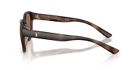 Polo Ralph Lauren Man Matte Dark Havana
