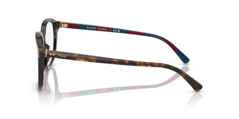 Polo Ralph Lauren Man Shiny Dark Havana