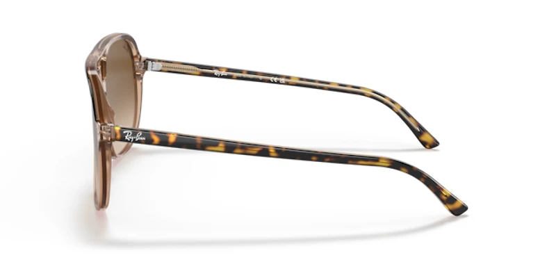 Ray-Ban Unisex Havana On Transparent Brown