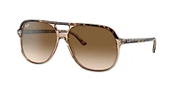 Ray-Ban Unisex Havana On Transparent Brown