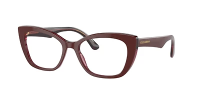 Dolce&Gabbana Woman Bordeaux, Transparent Bordeaux