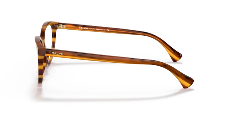 Ralph by Ralph Lauren Woman Striped Brown