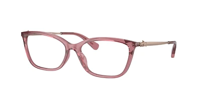 Coach Woman Transparent