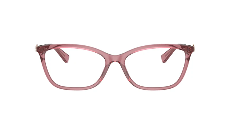 Coach Woman Transparent